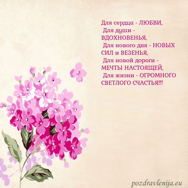 Открытка с гортензией