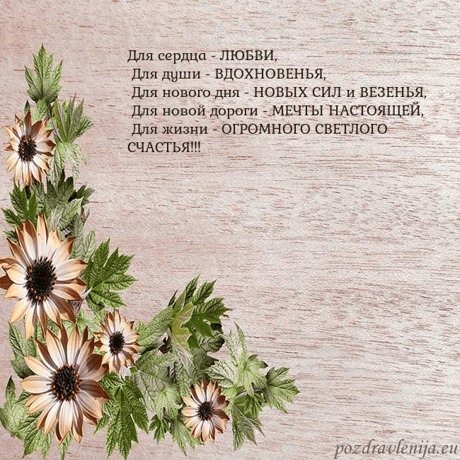 Уютная открытка с цветами
