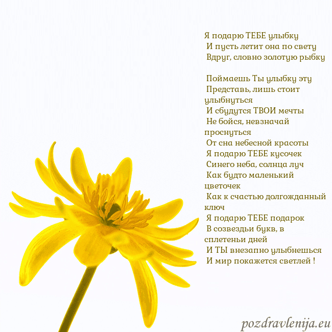 Открытка с желтым цветком