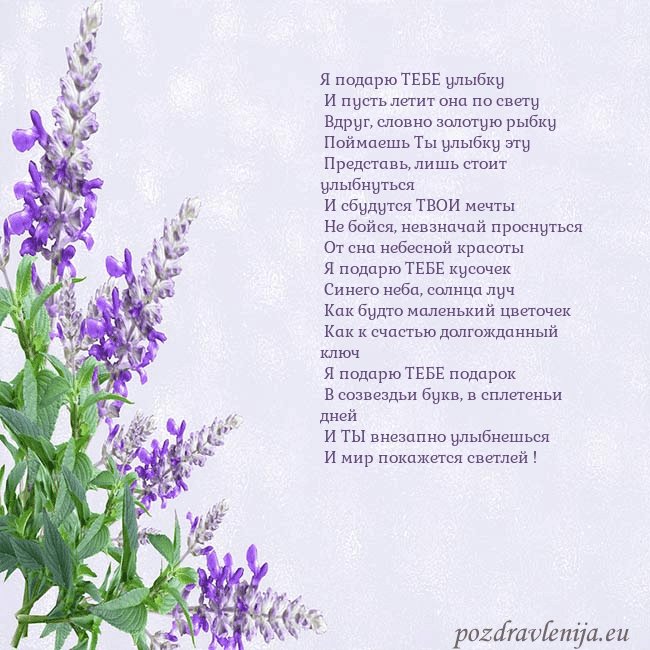 Открытка с люпинами