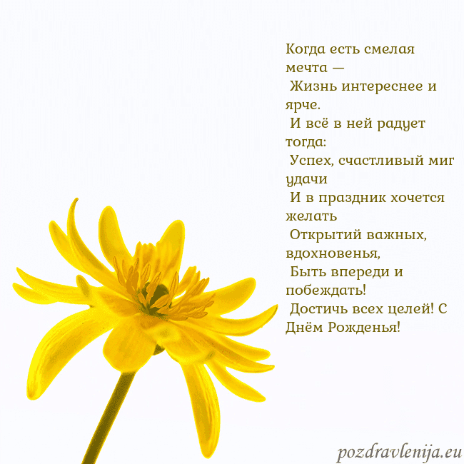 Открытка с желтым цветком