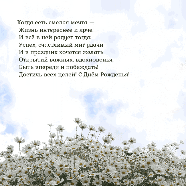 Открытка с ромашками