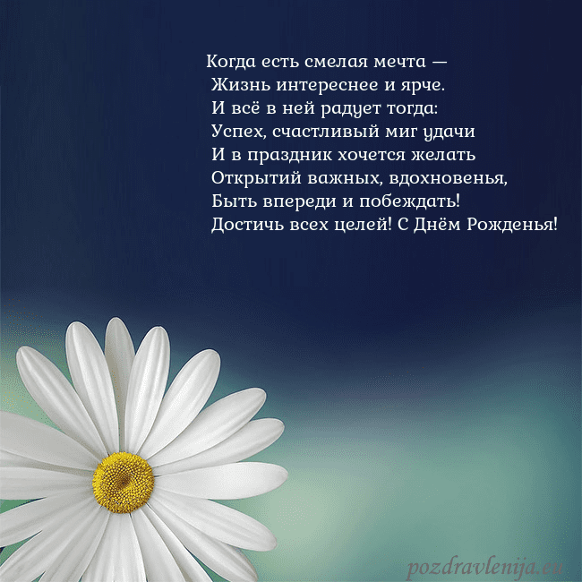 Открытка с большой ромашкой