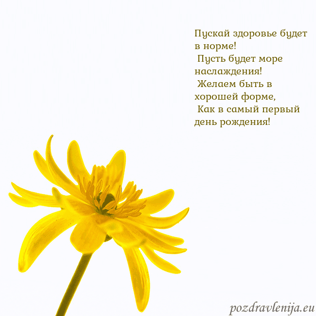 Открытка с желтым цветком