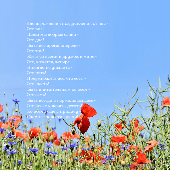 Открытка с маками