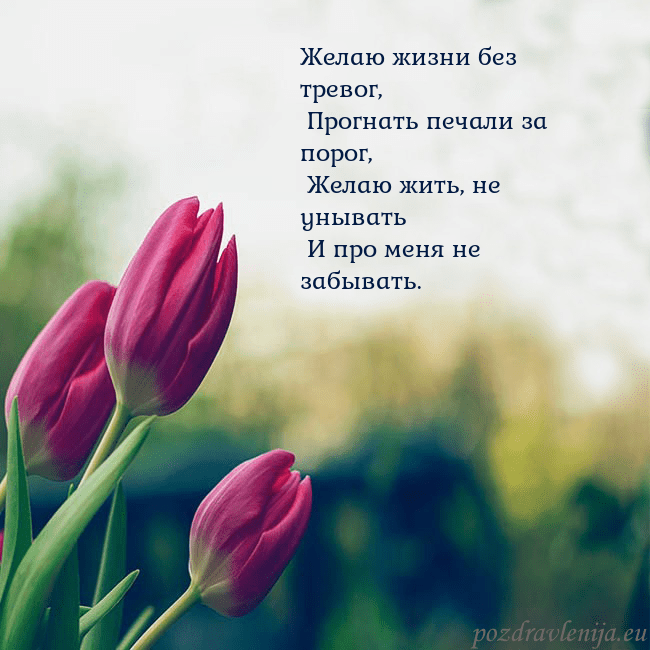 Открытка с тремя красными тюльпанами