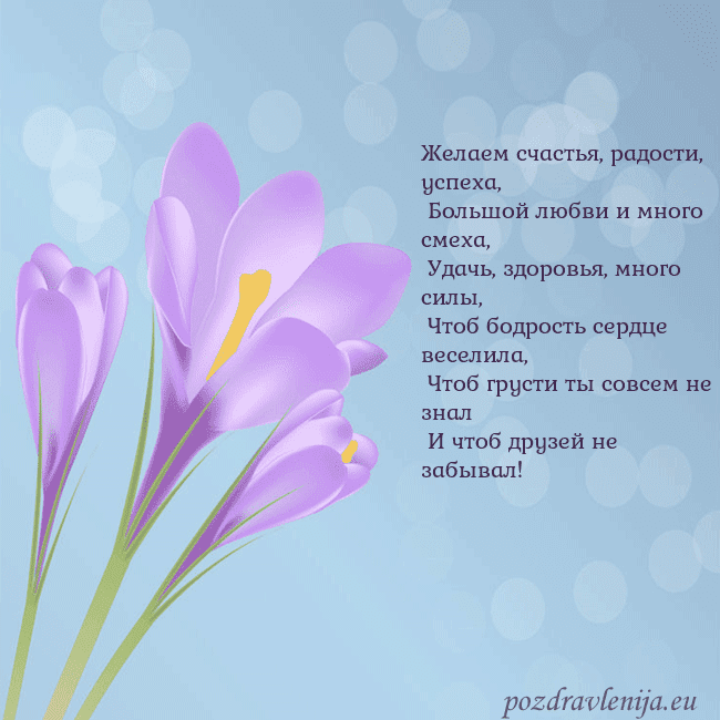 Открытка с крокусом