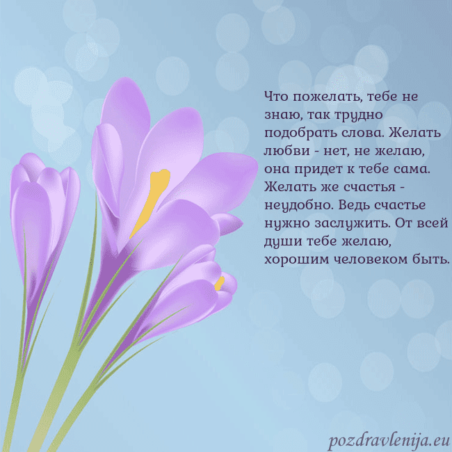 Открытка с крокусом