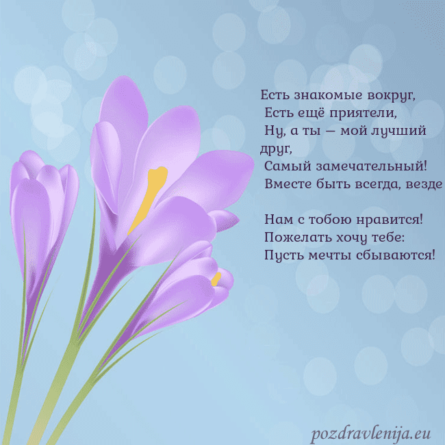 Открытка с крокусом