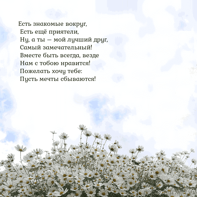 Открытка с ромашками