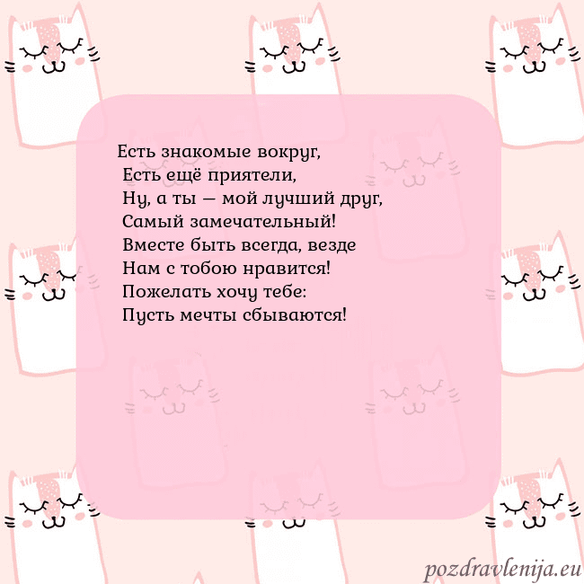 Розовая открытка с забавными кошками