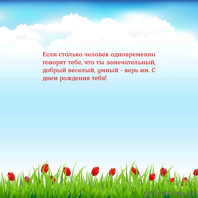 Открытка с тюльпанами