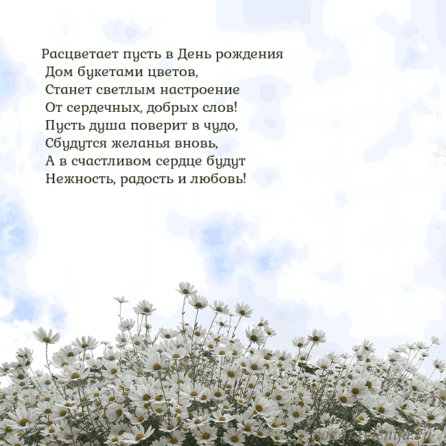 Открытка с ромашками