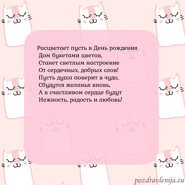 Розовая открытка с забавными кошками