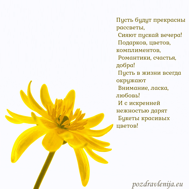 Открытка с желтым цветком