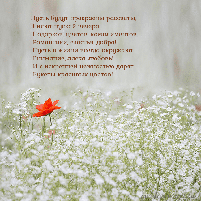 Электронная открытка с белыми цветами