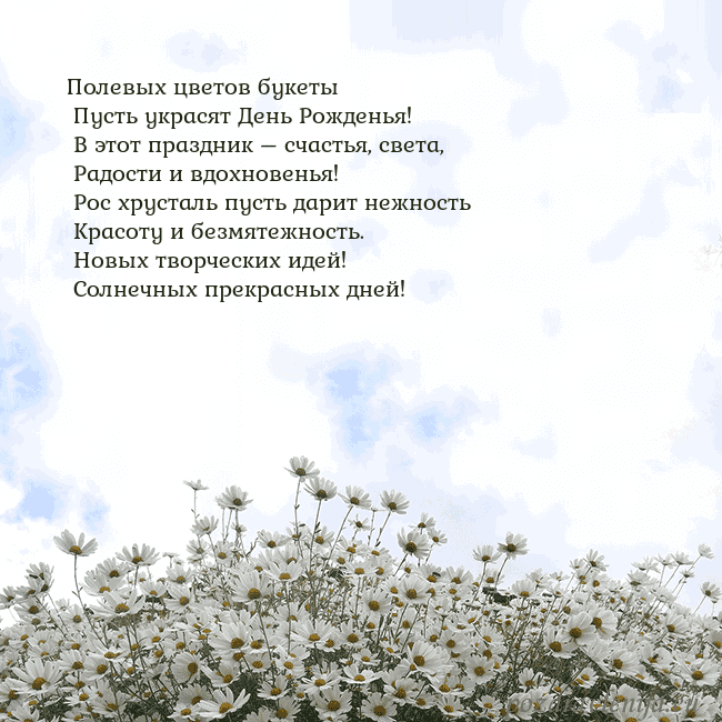 Открытка с ромашками