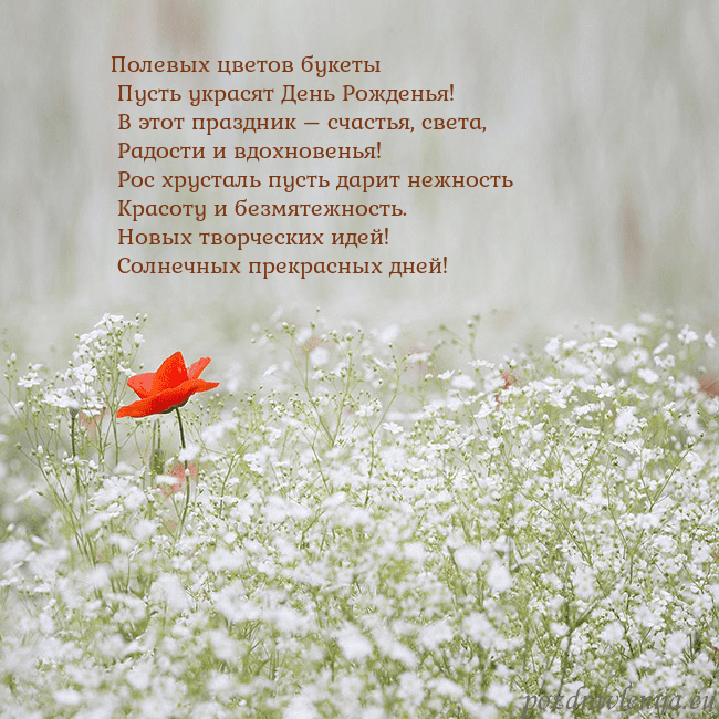 Электронная открытка с белыми цветами