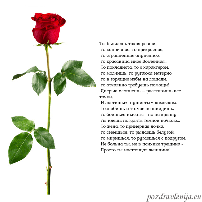 Открытка с красной розой Ты бываешь такая разная,
то капризная, то прекра Открытка с красной розой