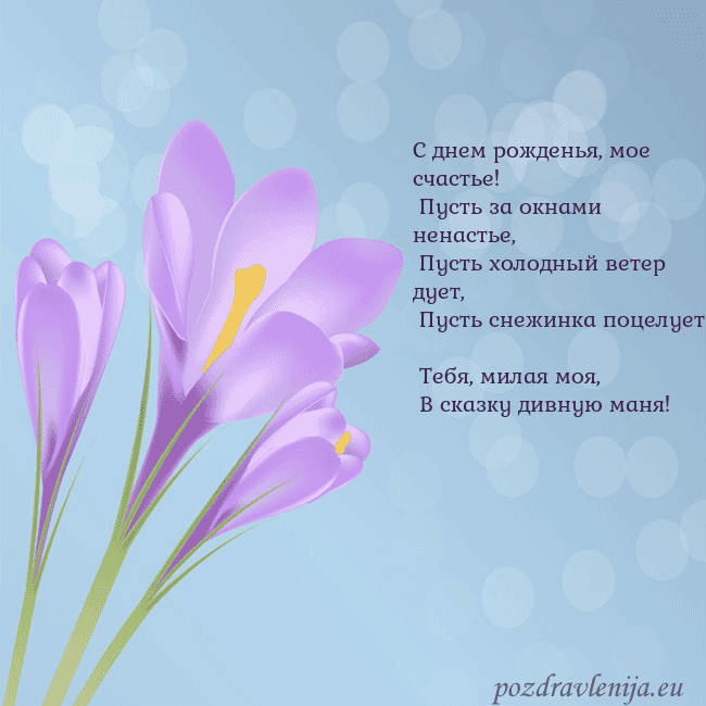 Открытка с крокусом