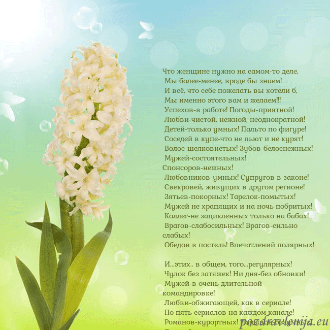 Открытка с гиацинтом Что женщине нужно на самом-то деле,
Мы более-мен Открытка с гиацинтом