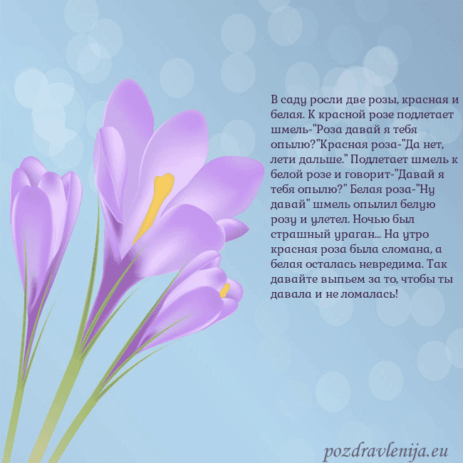 Открытка с крокусом