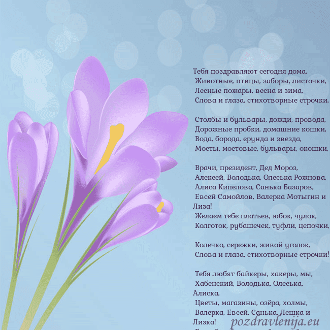 Открытка с крокусом