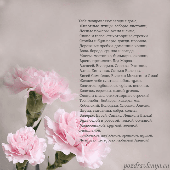 Открытка с розовыми гвоздиками Тебя поздравляют сегодня дома,
Животные, птицы, Открытка с розовыми гвоздиками