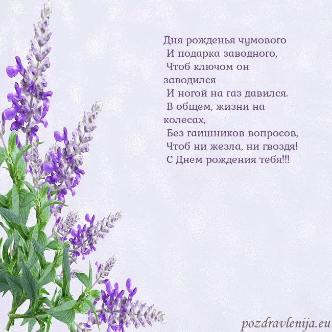 Открытка с люпинами