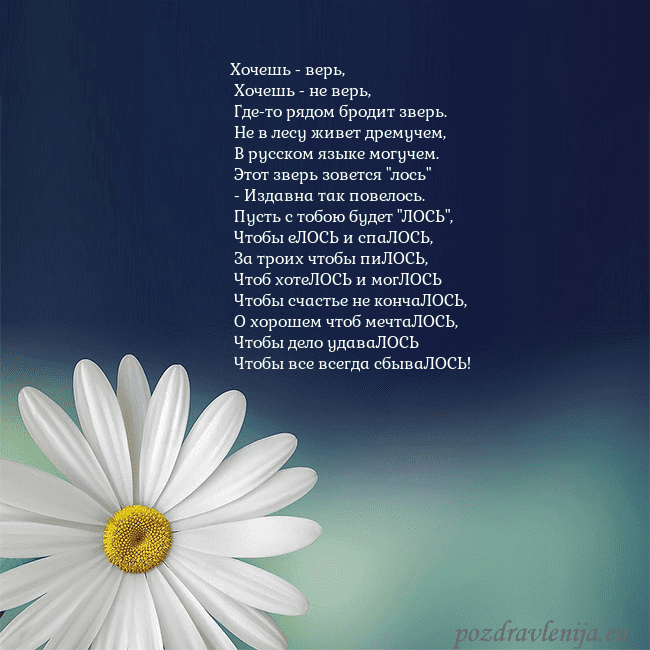 Открытка с большой ромашкой