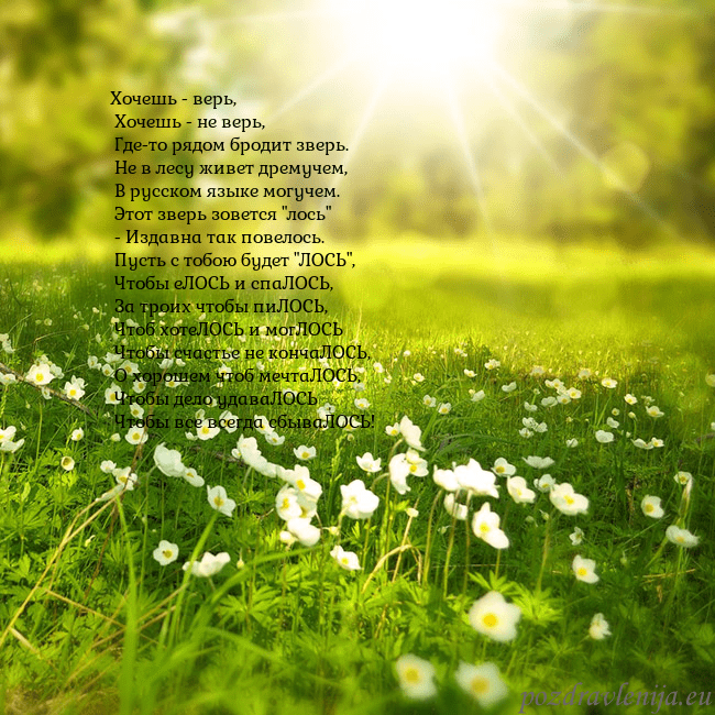 Электронная открытка с утопающим в солнечном свете лугом