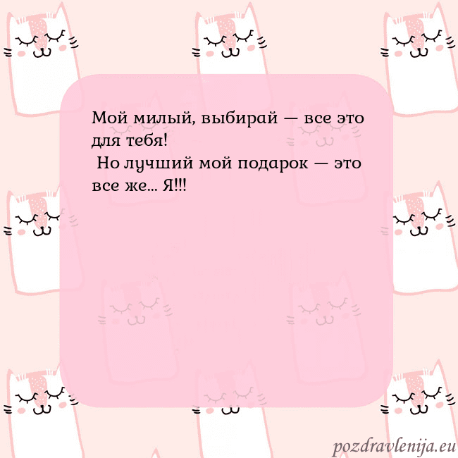 Розовая открытка с забавными кошками