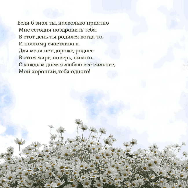 Открытка с ромашками