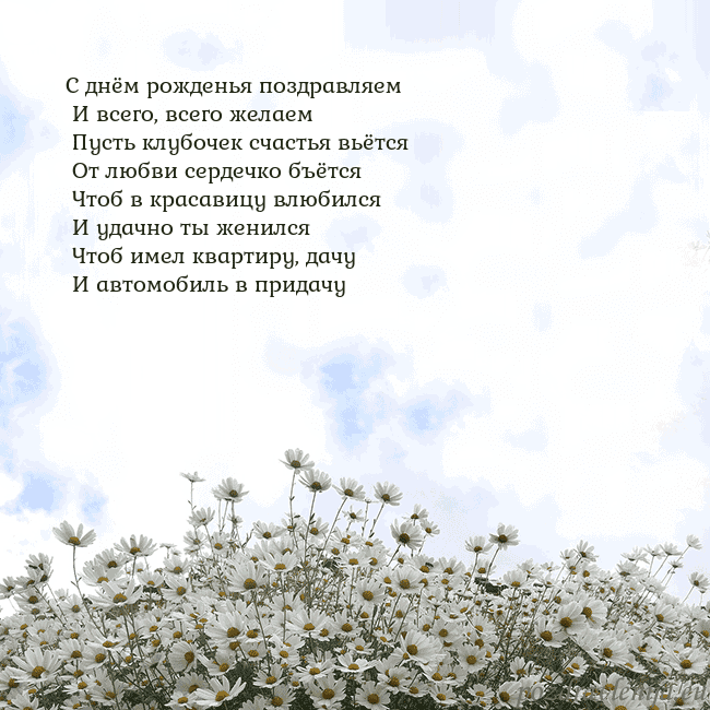Открытка с ромашками