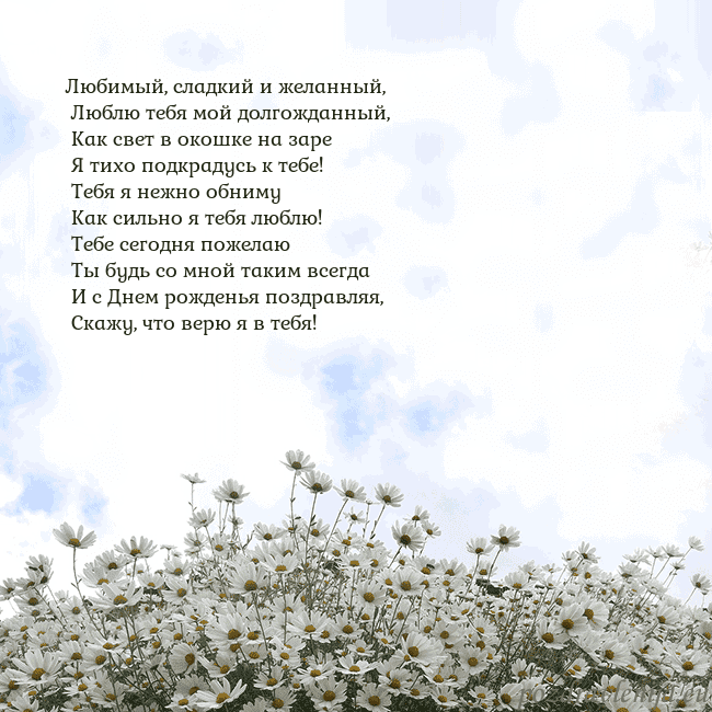 Открытка с ромашками