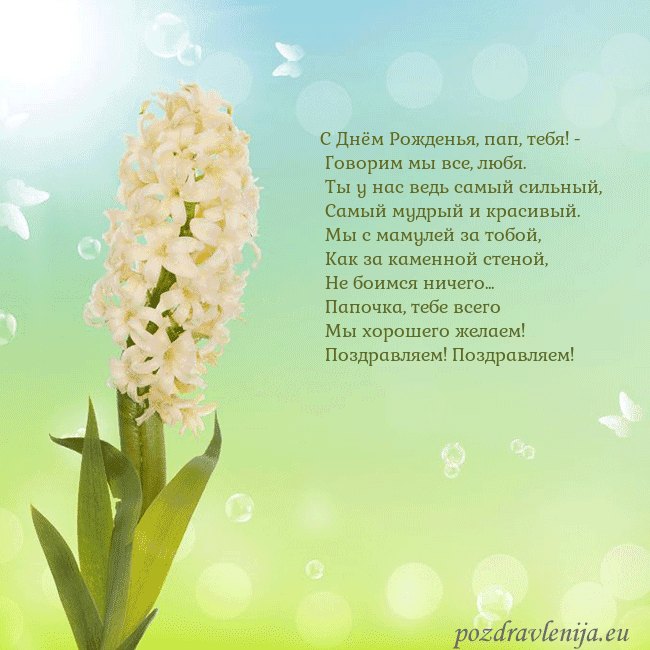 Открытка с гиацинтом