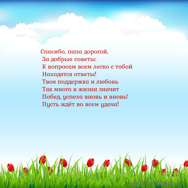 Открытка с тюльпанами