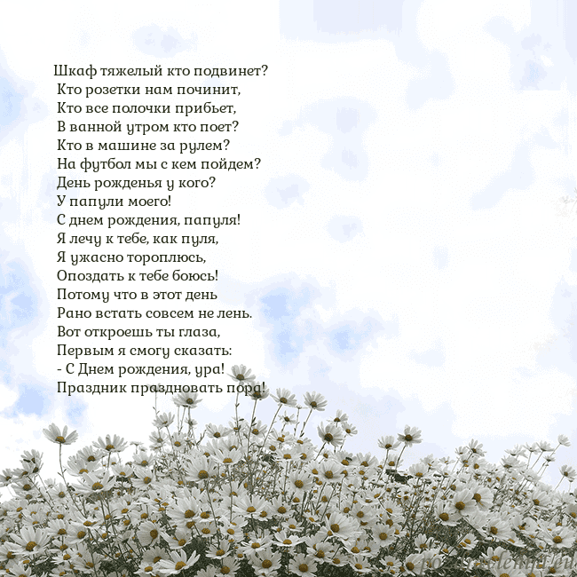 Открытка с ромашками
