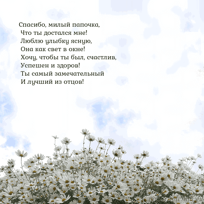 Открытка с ромашками