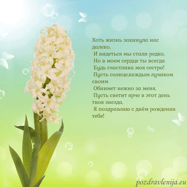 Открытка с гиацинтом