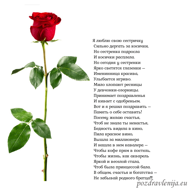 Открытка с красной розой Я люблю свою сестричку
Сильно дергать за косички Открытка с красной розой