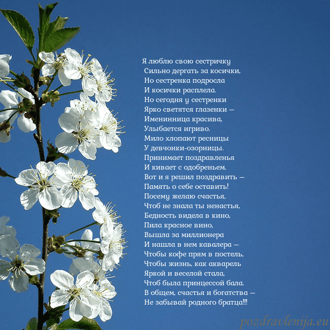 Открытка с весенними цветами Я люблю свою сестричку
Сильно дергать за косички Открытка с весенними цветами