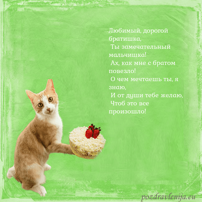 Забавная открытка на день рождения с кошкой и тортом