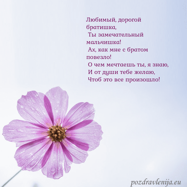 Электронная открытка с фиолетовым цветком