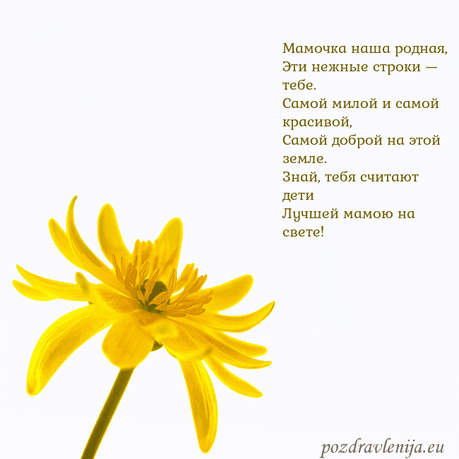 Открытка с желтым цветком