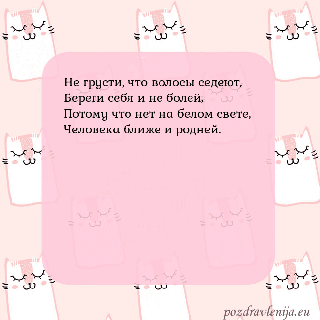 Розовая открытка с забавными кошками