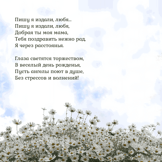 Открытка с ромашками