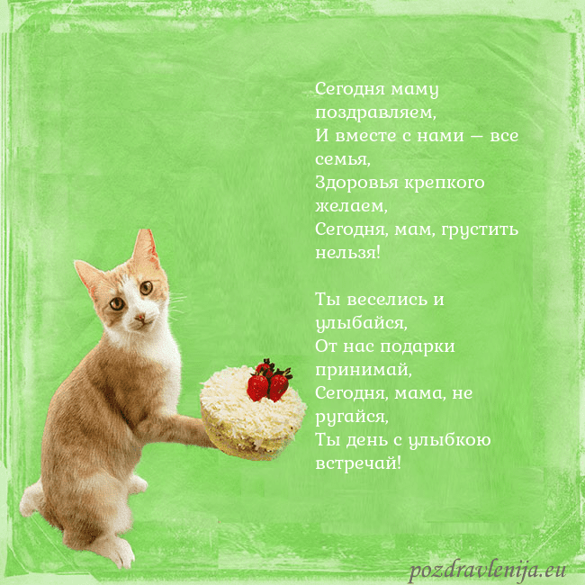 Забавная открытка на день рождения с кошкой и тортом