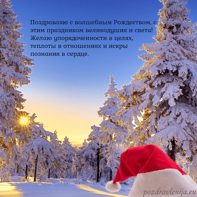 Новогодняя открытка со снежным лесом