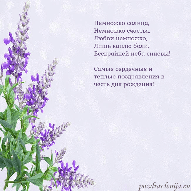 Открытка с люпинами